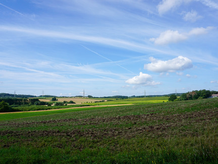 Ausblick über die Felder