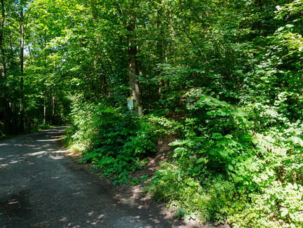 Nach der Mühle zweigt rechts ein schmaler Pfad ab, diesem folgen wir steil bergauf.
