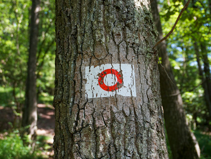 Wegbeschilderung auf der ganzen Runde