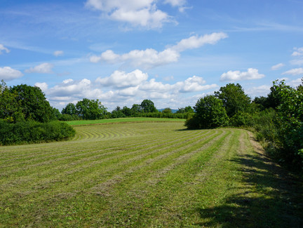 Auf dem Graitzer Berg