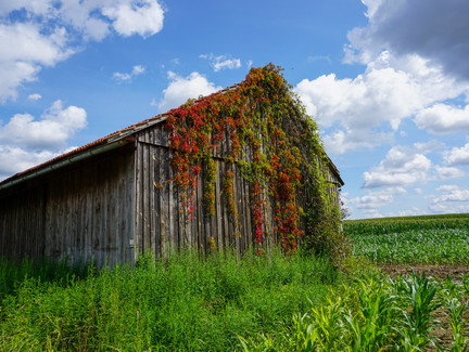 Stadel am Ortseingang von Trübenbach