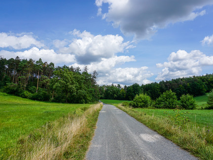 Forstweg Richtung Schneckenlohe