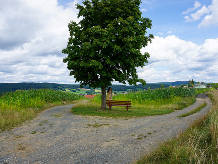 Rastplatz kurz vor Schneckenlohe