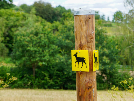 Beschilderung Wanderweg Hemmendorf