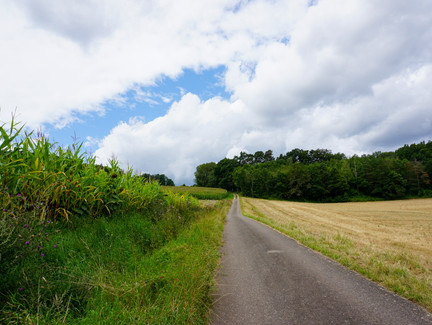 Aufstieg von Hemmendorf Richtung Windräder