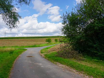 An der Straße entlang nach Untermerzbach