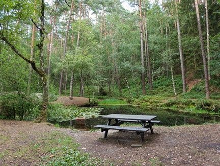 Rastplatz am Teich