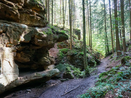 In der Saulochklamm