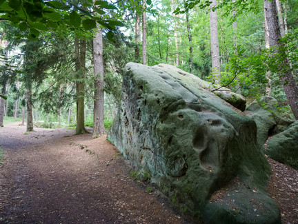 Felsen in der Einberger Schweiz