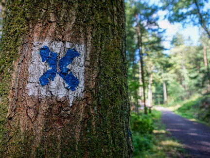 Wegbeschilderung blaues Kreuz auf weißem Grund