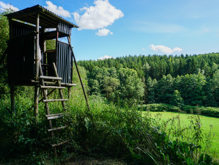 Hochsitz in der Einberger Schweiz