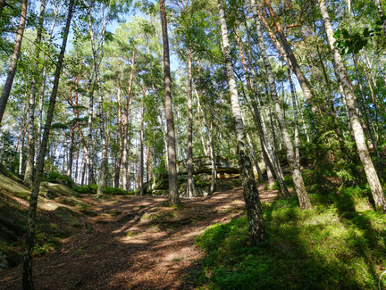 Felsen in der Einberger Schweiz