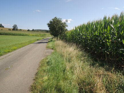Auf dem Weg nach Oberfüllbach