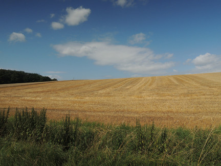 Unser Ausblick auf dem Weg nach Oberfüllbach
