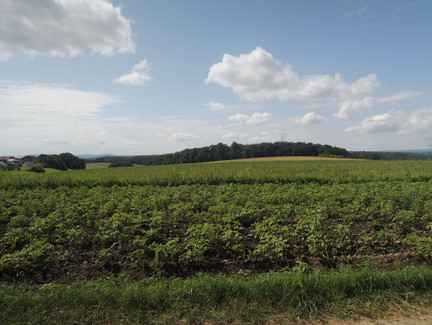 Ausblick auf das Coburger Land