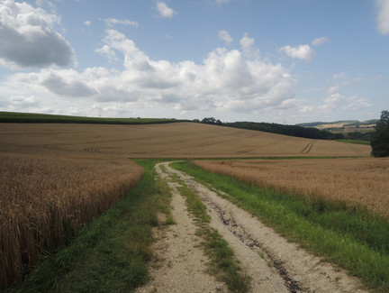 Auf dem Weg nach Oberfüllbach