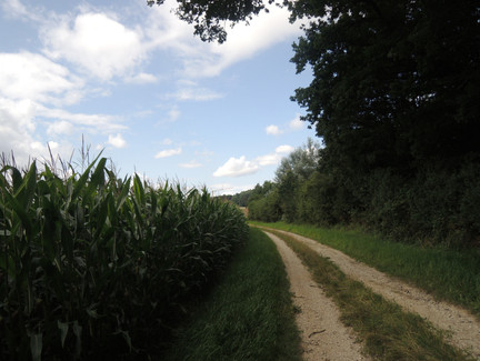 Auf dem Weg nach Oberfüllbach