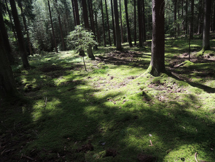 Unterwegs im Naherholungsgebiet Ebersdorf