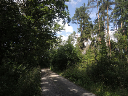 Auf dem Weg zur Göritzenquelle