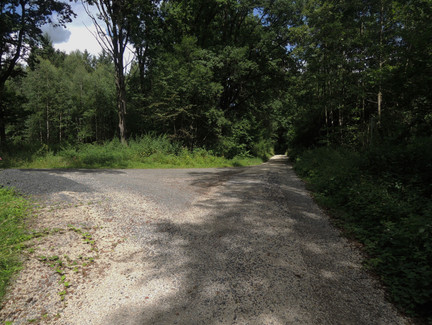 Gabelung auf dem Weg zur Göritzenquelle