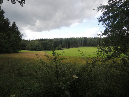 Wald und Wiesen im Coburger Land
