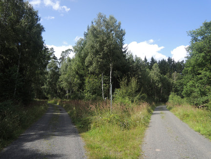 An der Weggabelung gehen wir nach links in Richtung Göritzenquelle