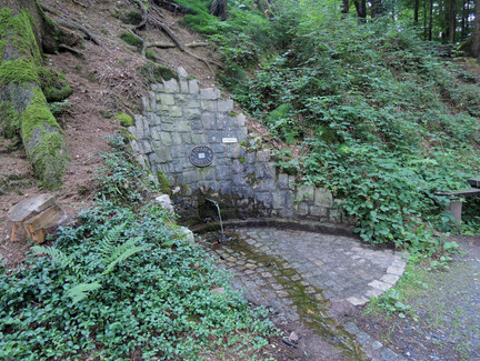 An der Göritzenquelle