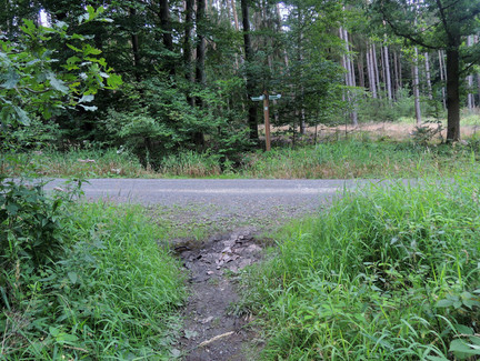 Wir kommen zurück zum Hauptweg.