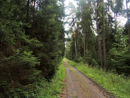 Auf dem Rundweg gehen wir zurück in Richtung Sonnefeld.