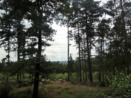 Blick auf das Coburger Land