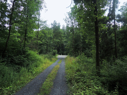 Wir befinden uns kurz vor Sonnefeld.