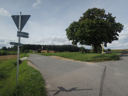 Der Wegweiser führt uns nach links.