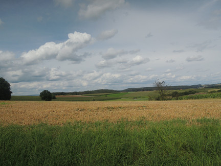 Blick auf das Coburger Land