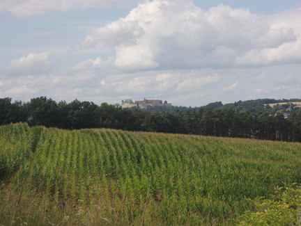 Ausblick auf die Veste Coburg