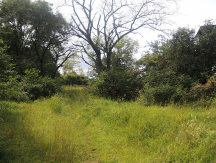 Auf dem Pfad zum Grüber Stein