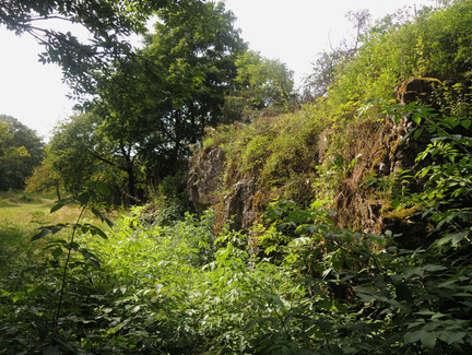 Die bewachsene Felswand des Grüber Steins