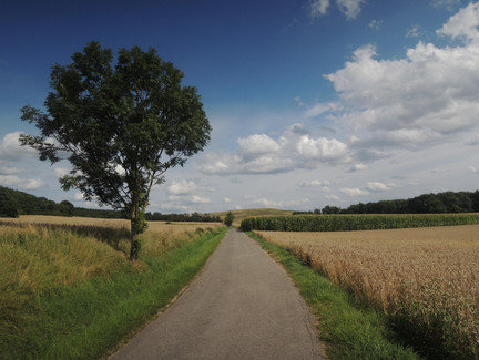 Die wunderschöne Landschaft auf dem Weg nach Grub am Stein