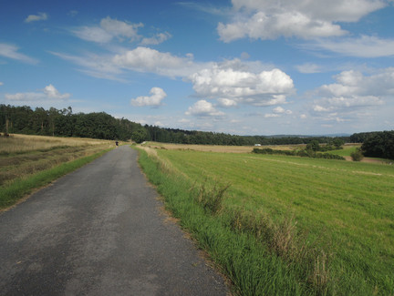 Auf dem Weg zurück nach Grub am Forst