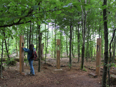 Nature Myth Path Wolf Station Rotating Elements Good-Evil-Wolf-Human