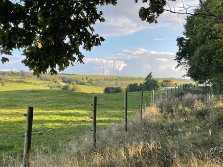 Drei Köpfe Pellingen