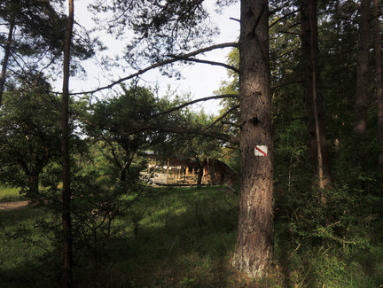 Waldkindergarten bei Oberlauter