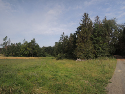 Der unscheinbare Wiesenpfad führt uns nach links.