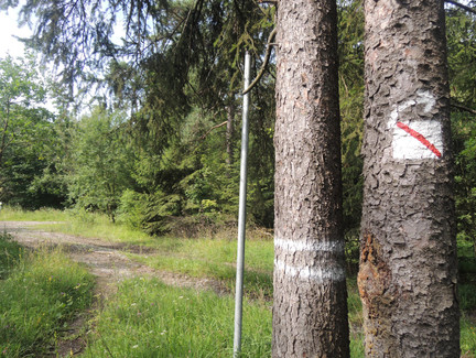 Der Wegweiser führt uns in Richtung Alexandrinenhütte.