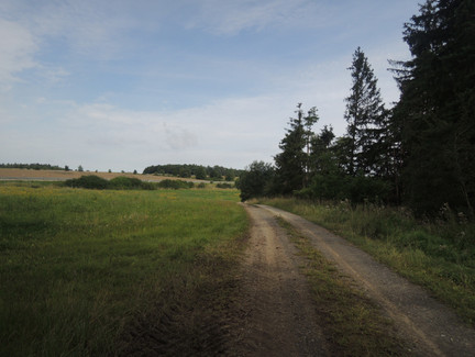 Am Waldrand geht es weiter zur Alexandrinenhütte.