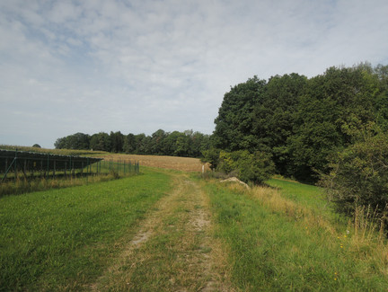 Am Solarpark vorbei geht es auf dem Feldweg zur Alexandrinenhütte.