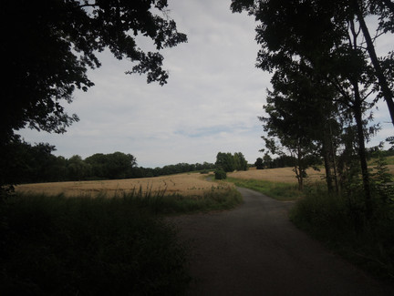 Von Meeder geht es in Richtung Alexandrinenhütte.