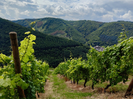 Liebesschlucht Rundwanderweg Zell (Mosel)