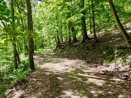 Rundwanderweg Liebesschlucht Zell (Mosel)