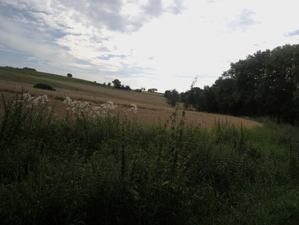 Die Landschaft rund um Meeder