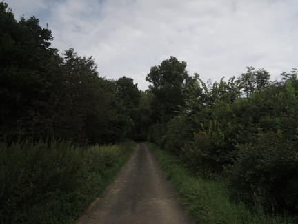Auf dem Weg zur Alexandrinenhütte